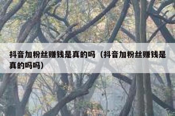 抖音加粉丝赚钱是真的吗（抖音加粉丝赚钱是真的吗吗） 第1张