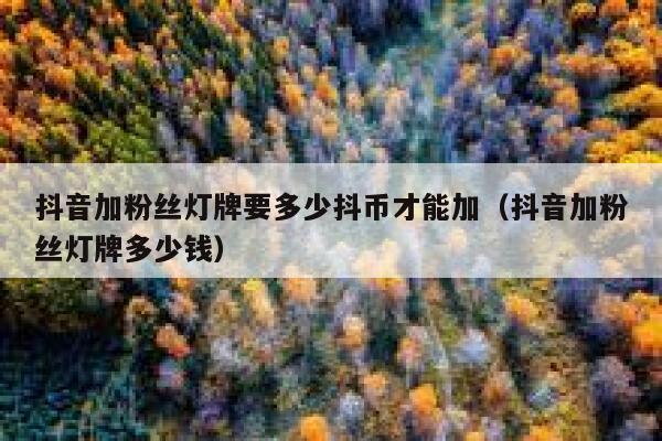 抖音加粉丝灯牌要多少抖币才能加（抖音加粉丝灯牌多少钱） 第1张