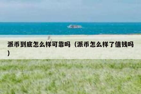派币到底怎么样可靠吗(派币怎么样了值钱吗) 第1张 派币到底怎么样可靠吗(派币怎么样了值钱吗) 第1张