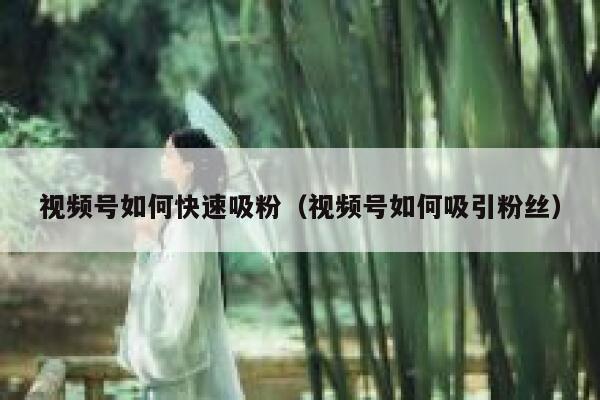 视频号如何快速吸粉（视频号如何吸引粉丝） 第1张