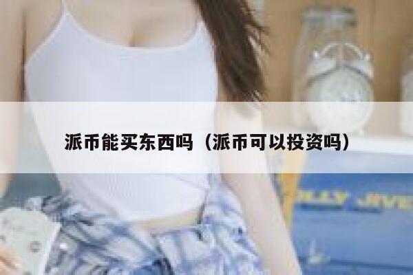派币能买东西吗（派币可以投资吗） 第1张
