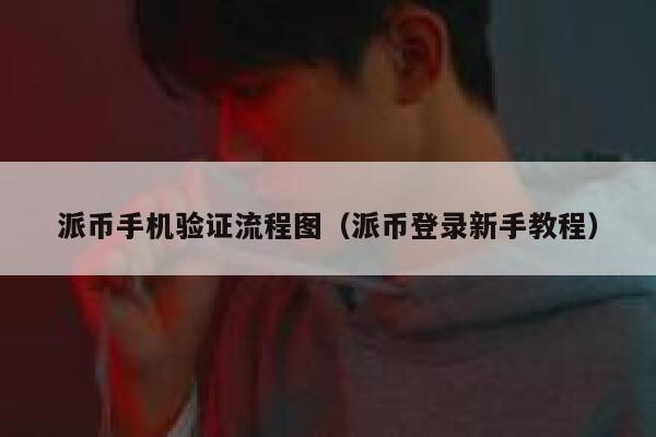 派币手机验证流程图（派币登录新手教程） 第1张