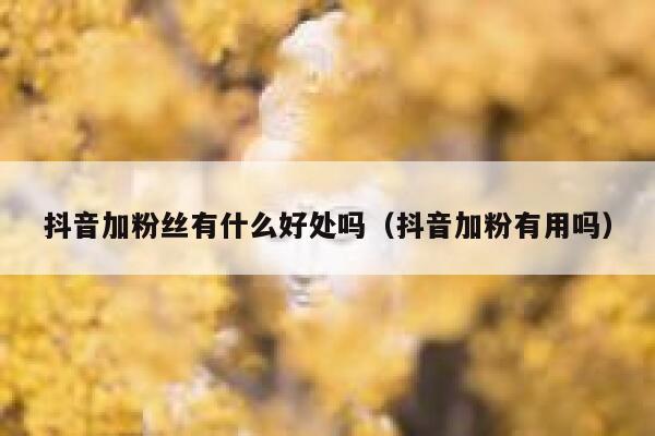 抖音加粉丝有什么好处吗（抖音加粉有用吗） 第1张