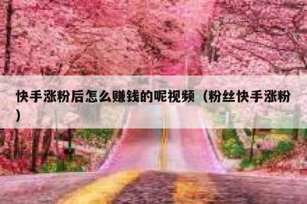 快手涨粉后怎么赚钱的呢视频（粉丝快手涨粉） 第1张