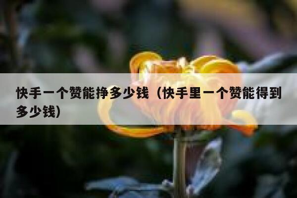 快手一个赞能挣多少钱(快手里一个赞能得到多少钱) 第1张 快手一个赞能挣多少钱(快手里一个赞能得到多少钱) 第1张