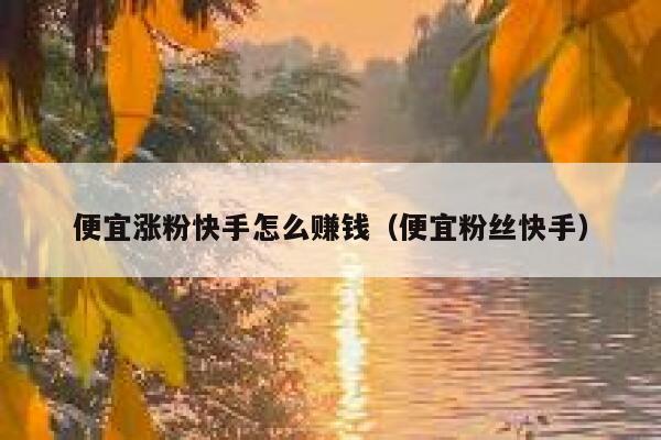 便宜涨粉快手怎么赚钱（便宜粉丝快手） 第1张