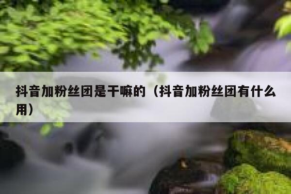 抖音加粉丝团是干嘛的（抖音加粉丝团有什么用） 第1张