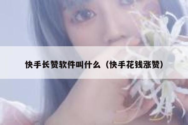 快手长赞软件叫什么（快手花钱涨赞） 第1张
