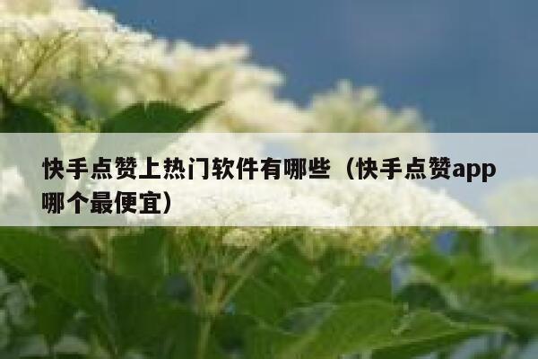 快手点赞上热门软件有哪些(快手点赞app哪个最便宜) 第1张 快手点赞上热门软件有哪些(快手点赞app哪个最便宜) 第1张