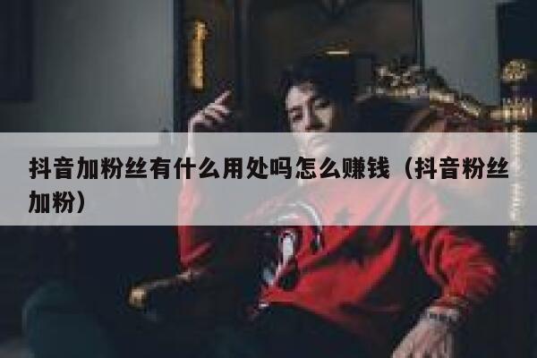 抖音加粉丝有什么用处吗怎么赚钱（抖音粉丝加粉） 第1张