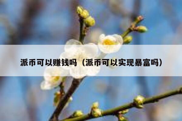 派币可以赚钱吗(派币可以实现暴富吗) 第1张 派币可以赚钱吗(派币可以实现暴富吗) 第1张