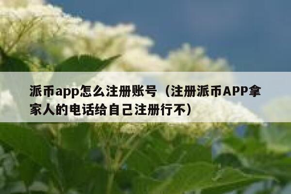 派币app怎么注册账号（注册派币APP拿家人的电话给自己注册行不） 第1张