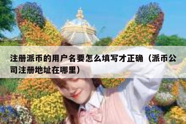 注册派币的用户名要怎么填写才正确（派币公司注册地址在哪里） 第1张