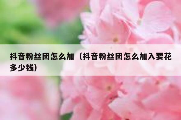 抖音粉丝团怎么加(抖音粉丝团怎么加入要花多少钱) 第1张 抖音粉丝团怎么加(抖音粉丝团怎么加入要花多少钱) 第1张