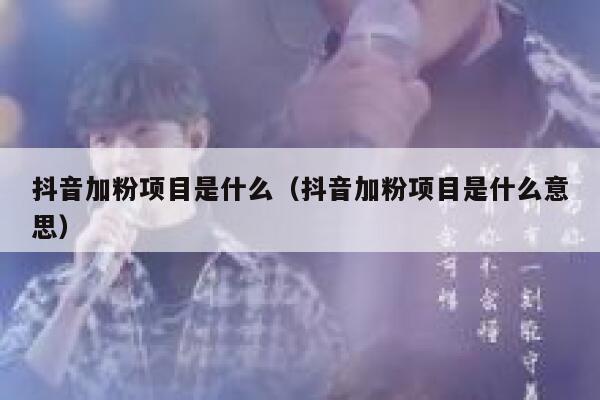 抖音加粉项目是什么（抖音加粉项目是什么意思） 第1张