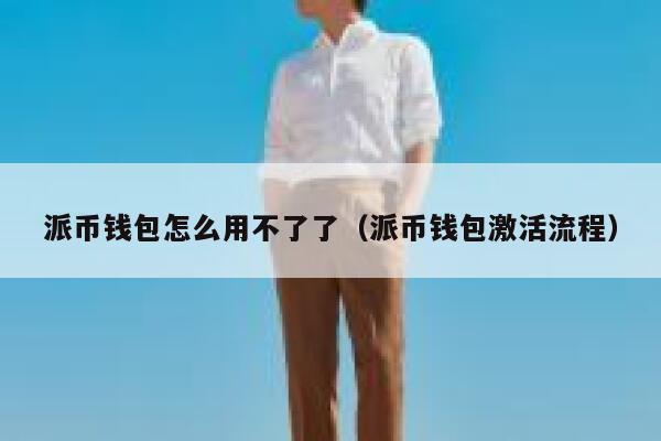 派币钱包怎么用不了了（派币钱包激活流程） 第1张