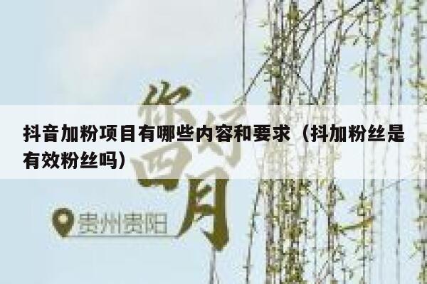 抖音加粉项目有哪些内容和要求（抖加粉丝是有效粉丝吗） 第1张