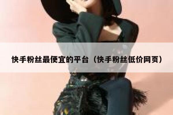 快手粉丝最便宜的平台（快手粉丝低价网页） 第1张