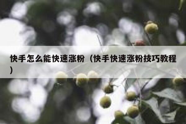 快手怎么能快速涨粉（快手快速涨粉技巧教程） 第1张