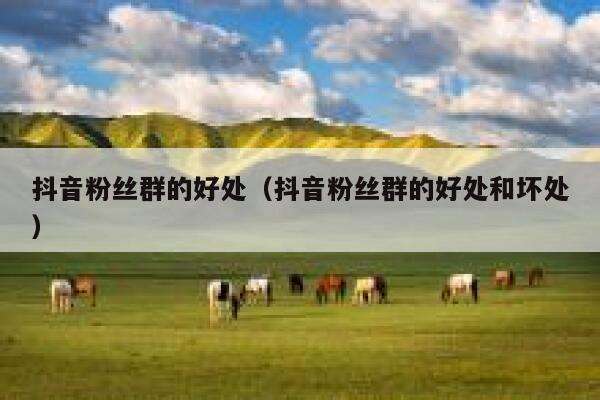 抖音粉丝群的好处(抖音粉丝群的好处和坏处) 第1张 抖音粉丝群的好处(抖音粉丝群的好处和坏处) 第1张
