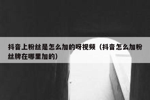 抖音上粉丝是怎么加的呀视频（抖音怎么加粉丝牌在哪里加的） 第1张