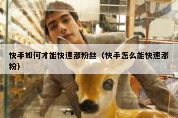 快手如何才能快速涨粉丝（快手怎么能快速涨粉） 第1张