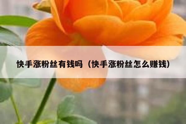 快手涨粉丝有钱吗（快手涨粉丝怎么赚钱） 第1张