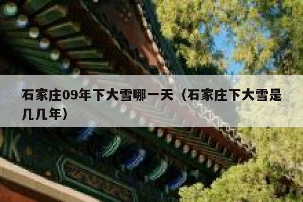 石家庄09年下大雪哪一天（石家庄下大雪是几几年） 第1张