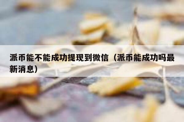 派币能不能成功提现到微信(派币能成功吗最新消息) 第1张 派币能不能成功提现到微信(派币能成功吗最新消息) 第1张