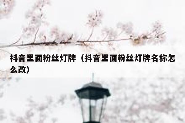 抖音里面粉丝灯牌（抖音里面粉丝灯牌名称怎么改） 第1张