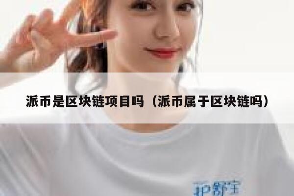 派币是区块链项目吗(派币属于区块链吗) 第1张 派币是区块链项目吗(派币属于区块链吗) 第1张