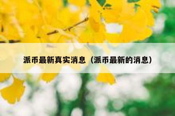 派币最新真实消息（派币最新的消息） 第1张