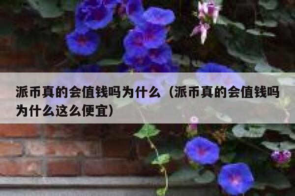 派币真的会值钱吗为什么(派币真的会值钱吗为什么这么便宜) 第1张 派币真的会值钱吗为什么(派币真的会值钱吗为什么这么便宜) 第1张