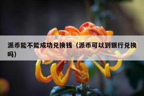 派币能不能成功兑换钱(派币可以到银行兑换吗) 第1张 派币能不能成功兑换钱(派币可以到银行兑换吗) 第1张