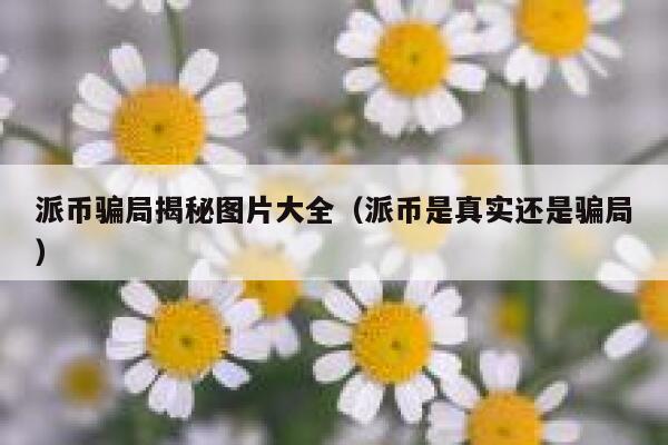 派币骗局揭秘图片大全（派币是真实还是骗局） 第1张