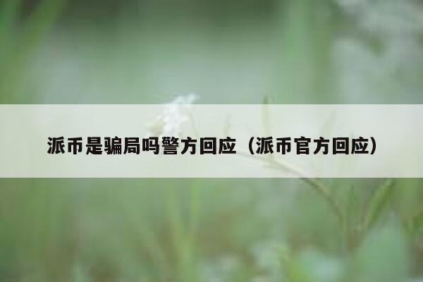 派币是骗局吗警方回应（派币官方回应） 第1张