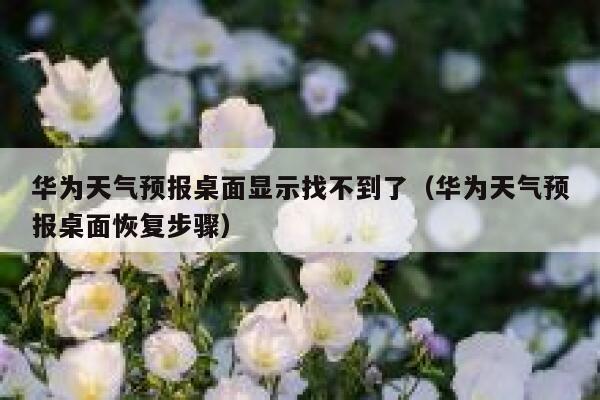 华为天气预报桌面显示找不到了（华为天气预报桌面恢复步骤） 第1张