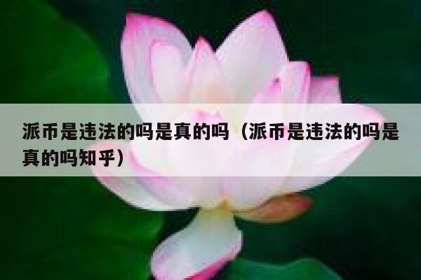 派币是违法的吗是真的吗(派币是违法的吗是真的吗知乎) 第1张 派币是违法的吗是真的吗(派币是违法的吗是真的吗知乎) 第1张