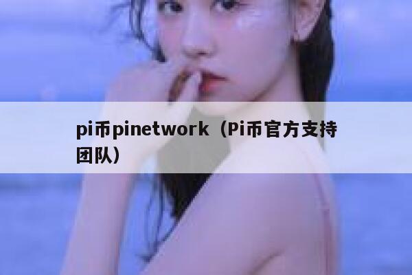 pi币pinetwork(Pi币官方支持团队) 第1张 pi币pinetwork(Pi币官方支持团队) 第1张