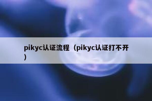 pikyc认证流程（pikyc认证打不开） 第1张