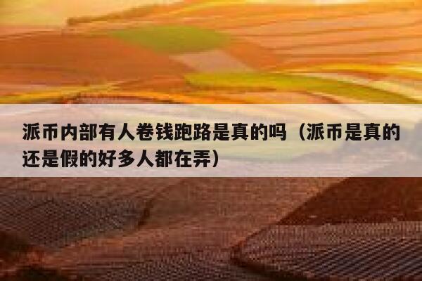 派币内部有人卷钱跑路是真的吗（派币是真的还是假的好多人都在弄） 第1张