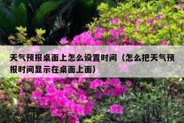天气预报桌面上怎么设置时间(怎么把天气预报时间显示在桌面上面) 第1张 天气预报桌面上怎么设置时间(怎么把天气预报时间显示在桌面上面) 第1张