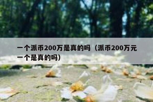 一个派币200万是真的吗（派币200万元一个是真的吗） 第1张
