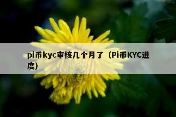 pi币kyc审核几个月了（Pi币KYC进度） 第1张