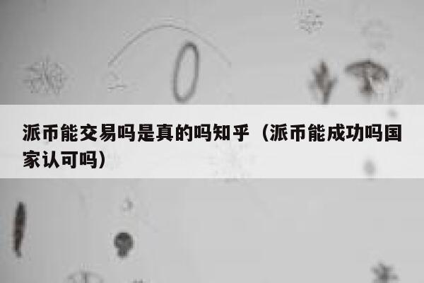 派币能交易吗是真的吗知乎（派币能成功吗国家认可吗） 第1张