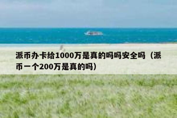 派币办卡给1000万是真的吗吗安全吗（派币一个200万是真的吗） 第1张