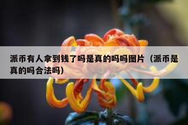 派币有人拿到钱了吗是真的吗吗图片（派币是真的吗合法吗） 第1张