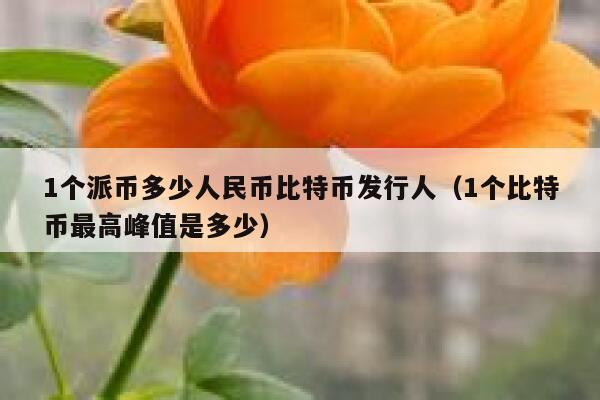 1个派币多少人民币比特币发行人(1个比特币最高峰值是多少) 第1张 1个派币多少人民币比特币发行人(1个比特币最高峰值是多少) 第1张