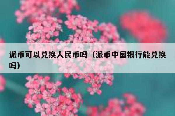 派币可以兑换人民币吗(派币中国银行能兑换吗) 第1张 派币可以兑换人民币吗(派币中国银行能兑换吗) 第1张