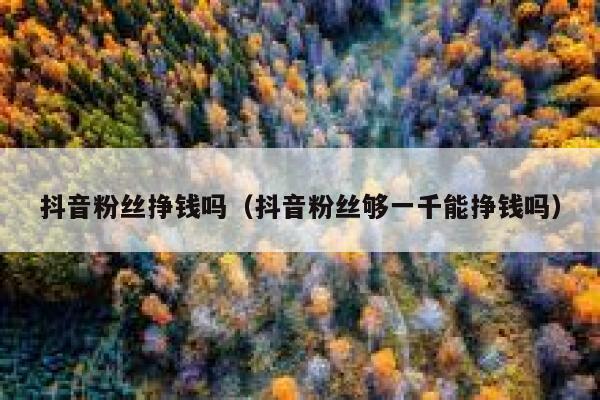 抖音粉丝挣钱吗(抖音粉丝够一千能挣钱吗) 第1张 抖音粉丝挣钱吗(抖音粉丝够一千能挣钱吗) 第1张